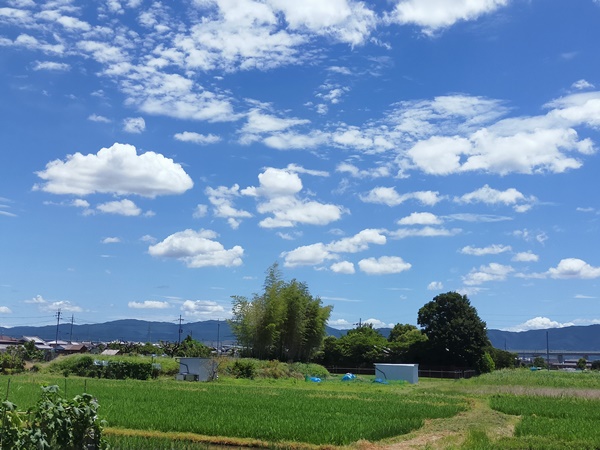 芝ぞえ古墳