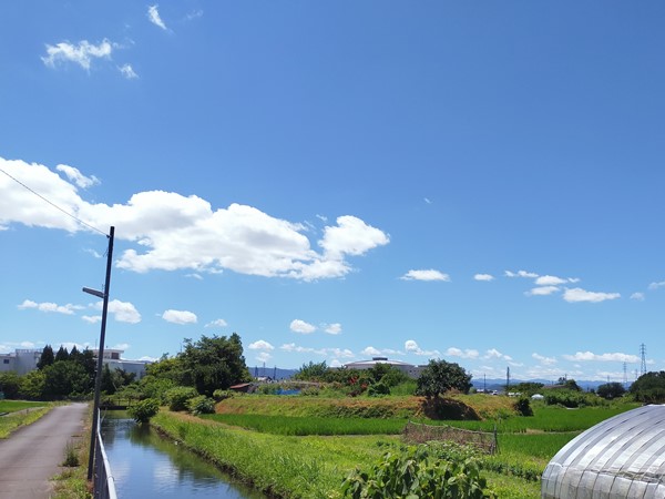 アンノ山古墳