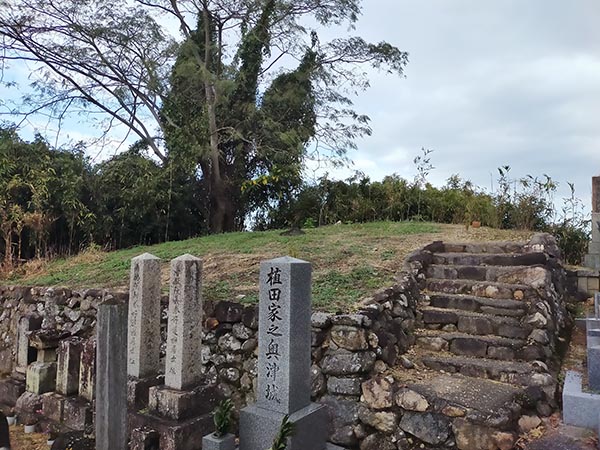 慶運寺裏古墳