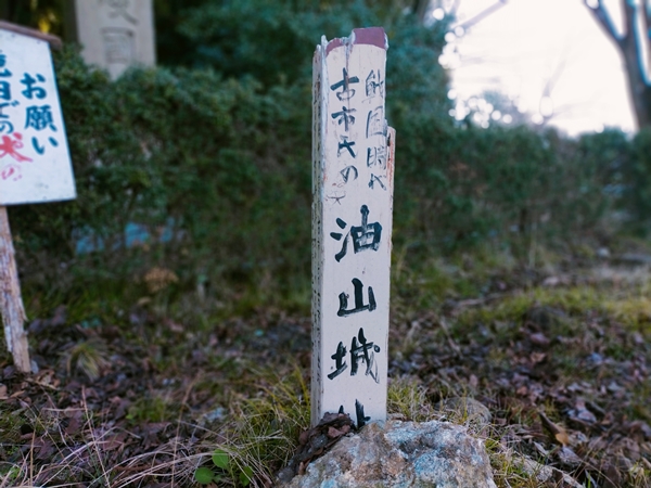 護国神社前池中古墳