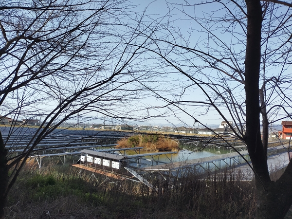 護国神社前池中古墳