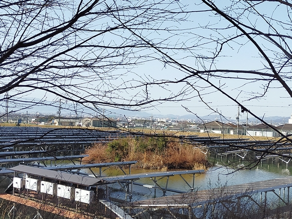 護国神社前池中古墳