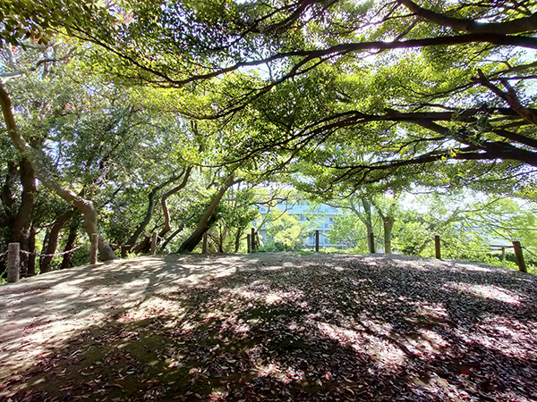 狩口台きつね塚古墳