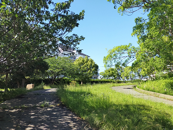 狩口台きつね塚古墳