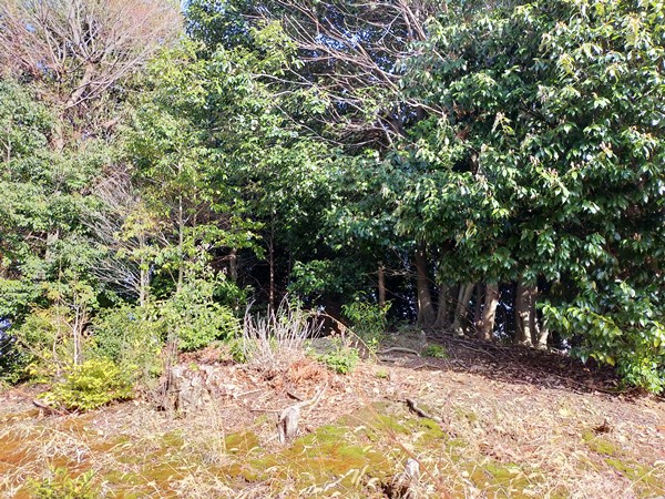 善右ヱ門山古墳