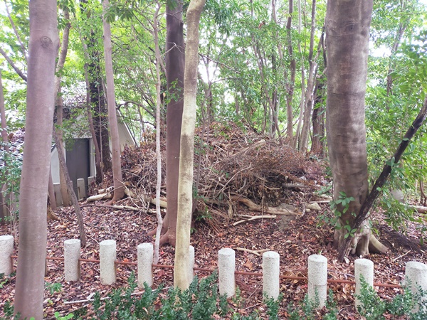 芦屋神社境内古墳