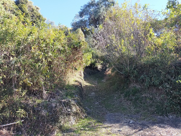 河内ドルメン(大窪・山畑36号墳)