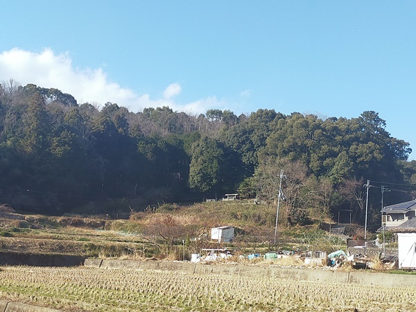 岡宮天皇陵