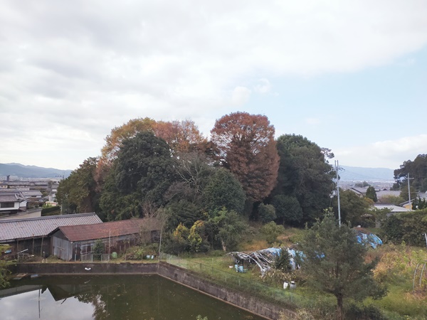 宮の前古墳