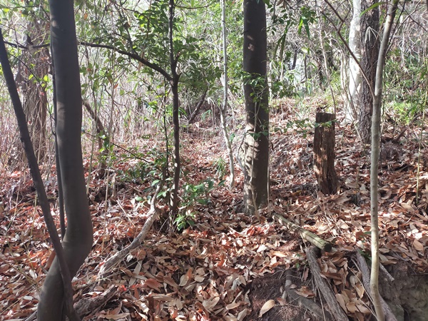 中筋山手古墳群4号墳