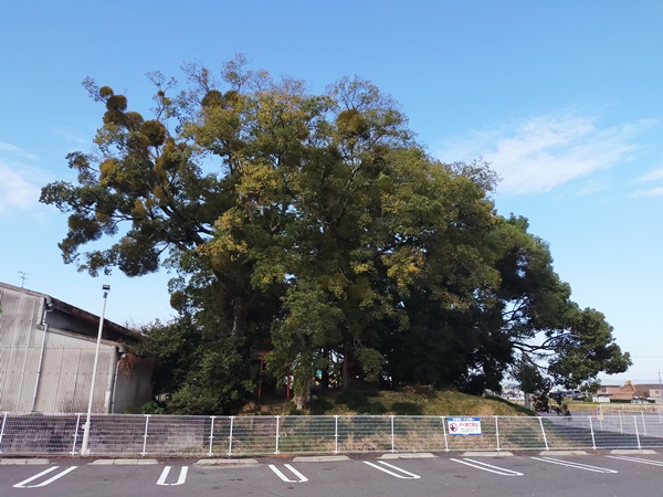 稲荷山古墳