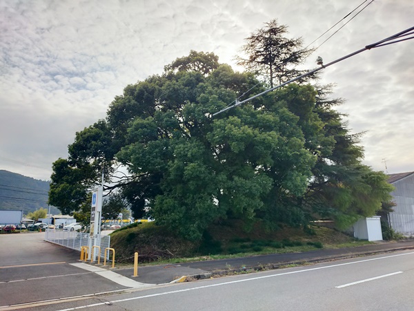 稲荷山古墳