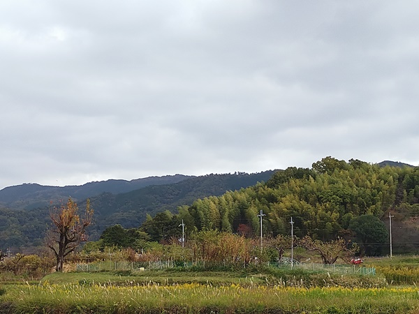ツヅロ塚古墳