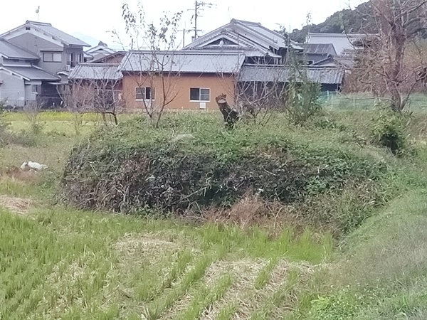 ツクロ塚古墳