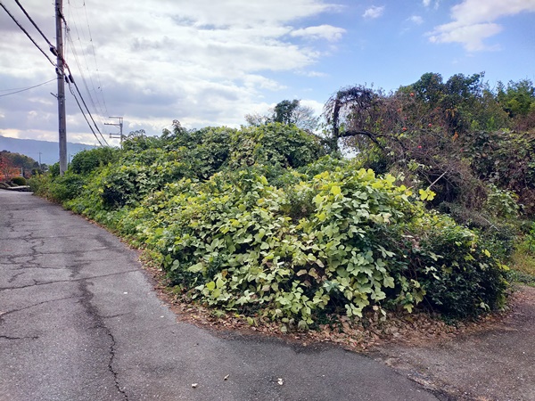 平塚古墳