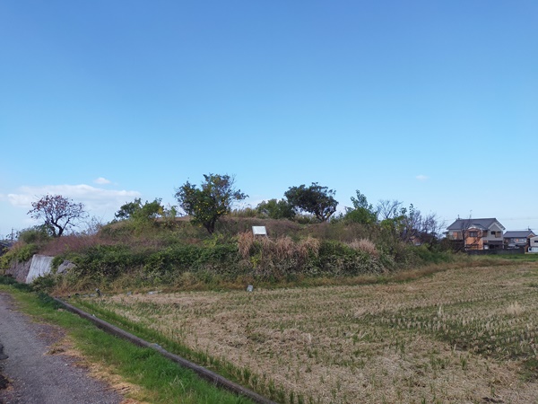 巻野内石塚古墳