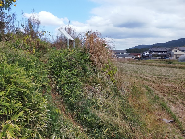 巻野内石塚古墳
