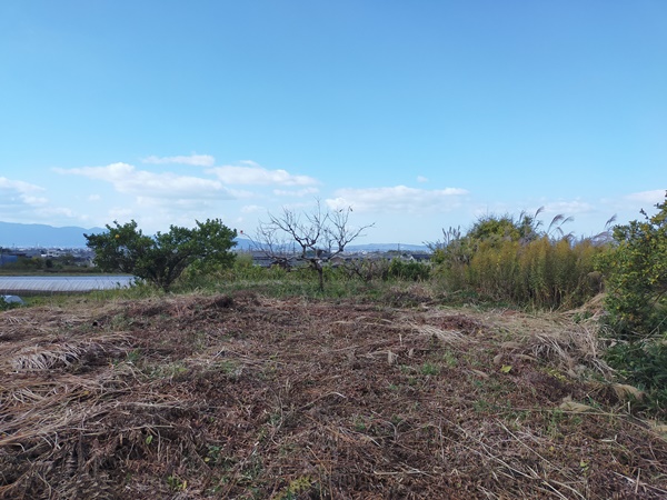 巻野内石塚古墳