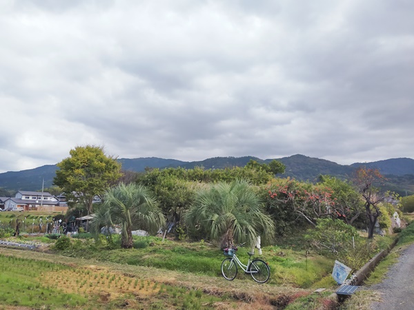 巻野内石塚古墳