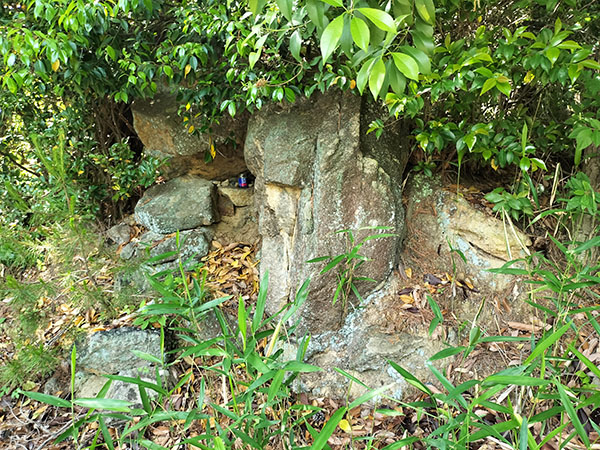 中筋山手古墳群7号墳