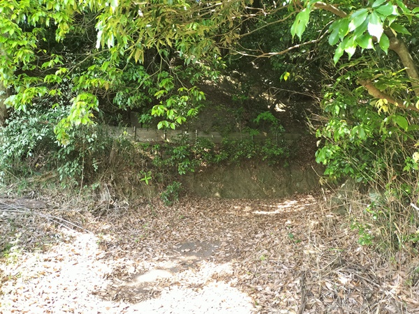 浄土谷1号墳