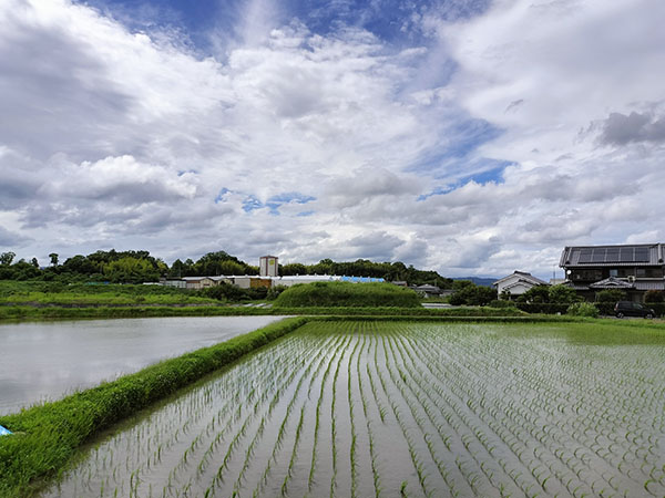 シドマ塚古墳