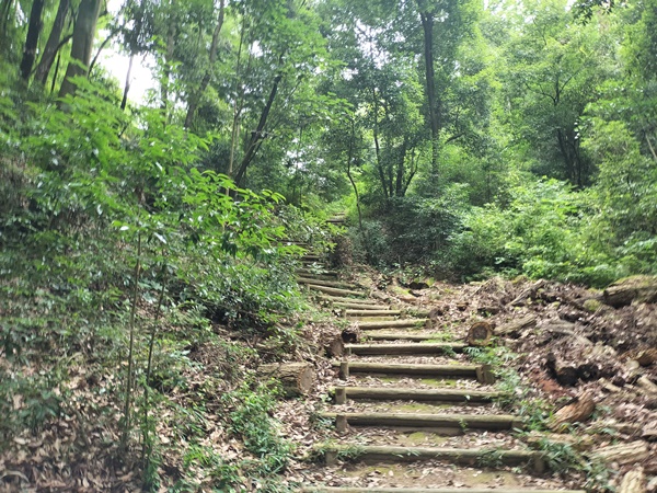 奈良山7号墳