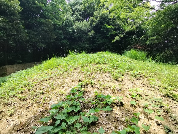 奈良山7号墳