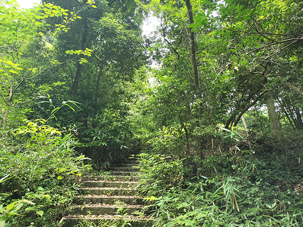 奈良山12号墳