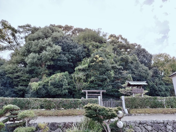 桝山古墳(身狭桃花鳥坂墓)