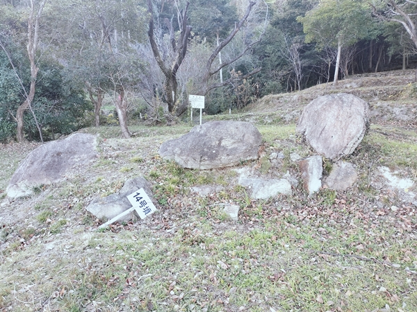 見野11号墳