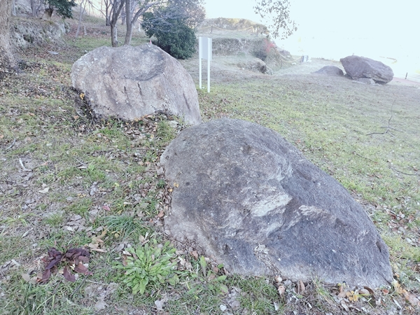 見野11号墳