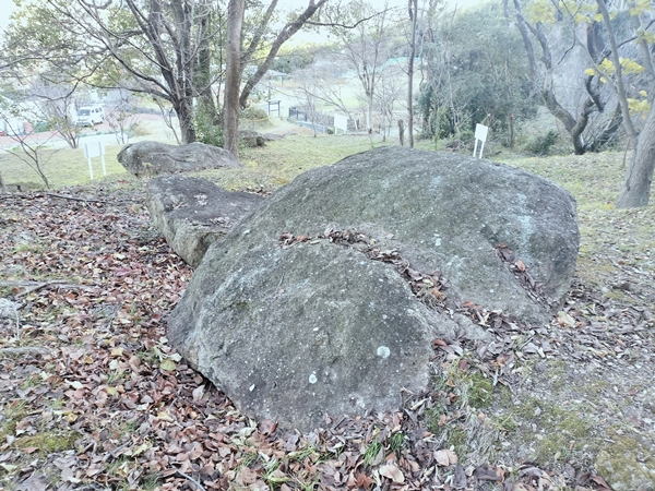 見野11号墳