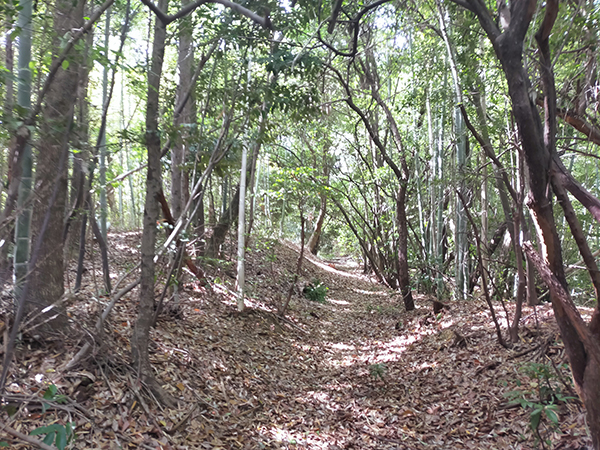 檜尾塚原古墳群3号墳