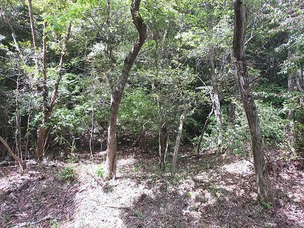 檜尾塚原古墳群3号墳