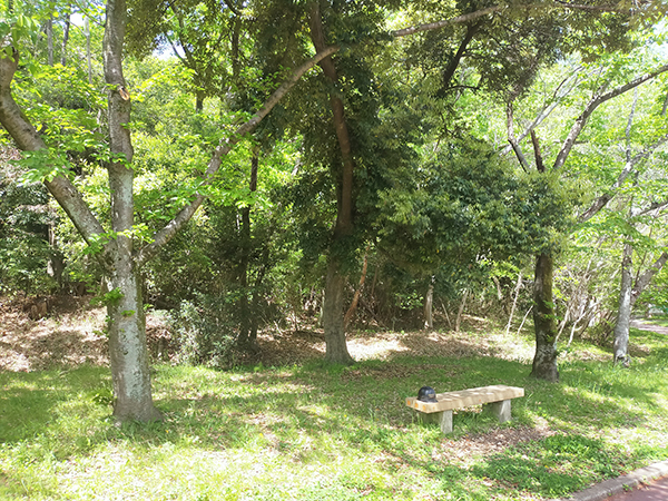 檜尾塚原古墳群3号墳