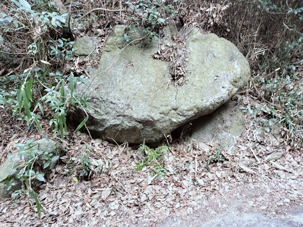 服部川61号墳
