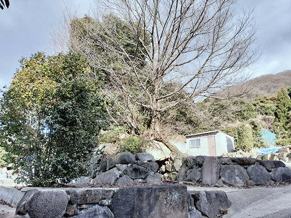 服部川8号墳
