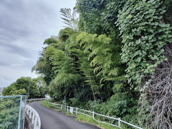 六反池古墳