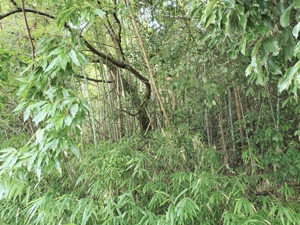 六反池古墳