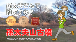 孫太夫山古墳(百舌鳥古墳群)