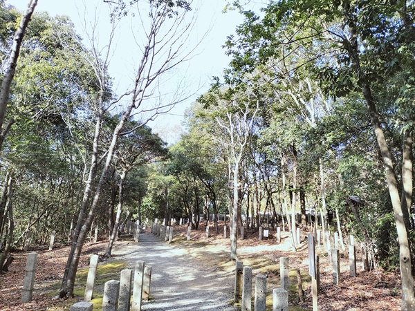 日岡陵(ひれ墓古墳)