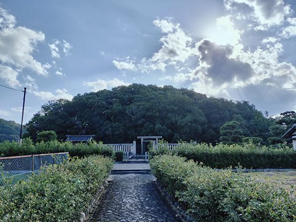 宣化天皇陵(鳥屋ミサンザイ古墳)