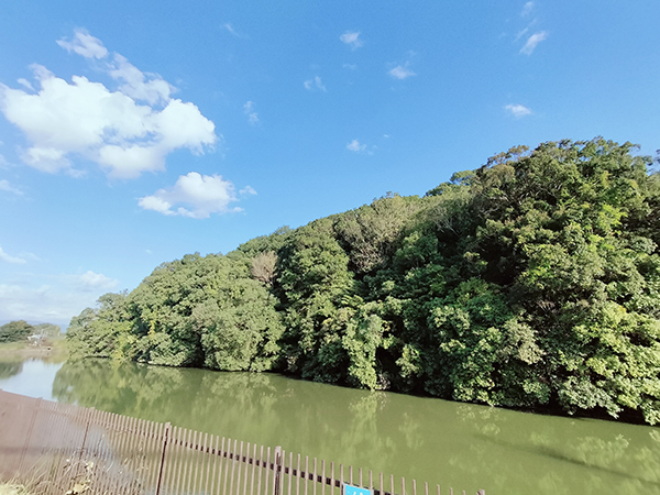 宣化天皇陵(鳥屋ミサンザイ古墳)