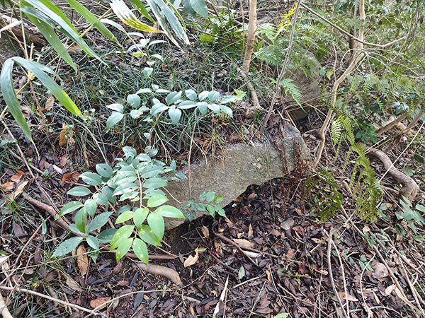 平野・大県支群第16支群
