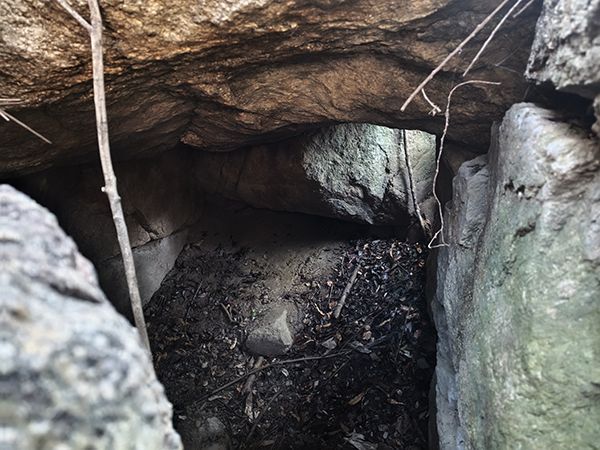 平野・大県支群第16支群