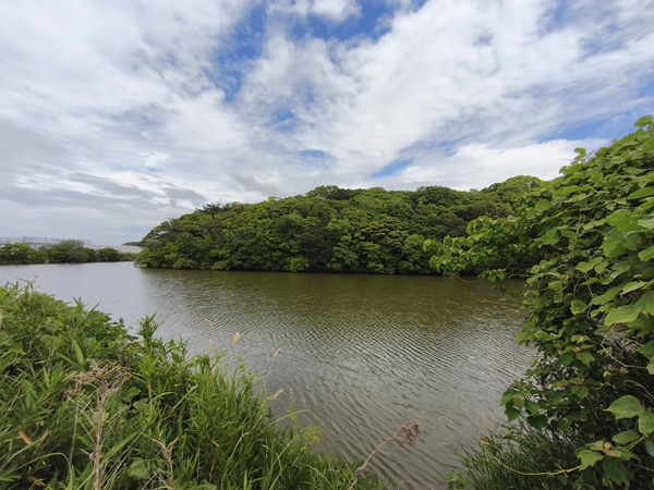 西陵古墳