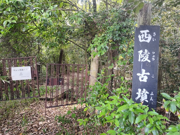 西陵古墳