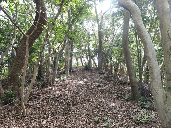 西陵古墳