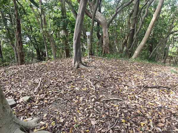 西陵古墳